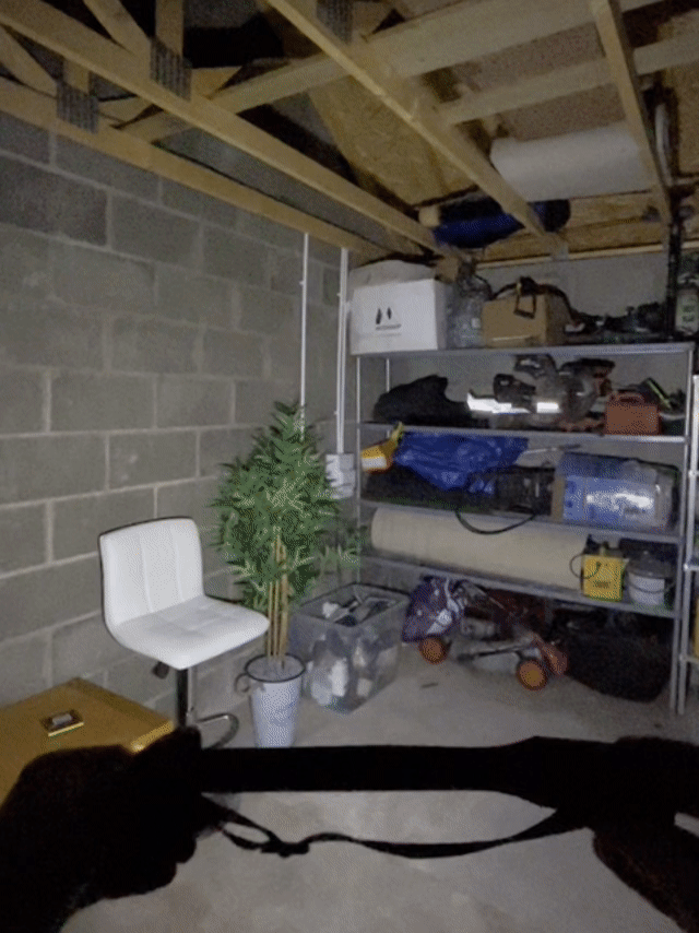 Vous avez besoin de l'AdventureLight